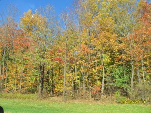SAM_0053