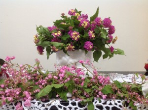 IMG_4046[1]