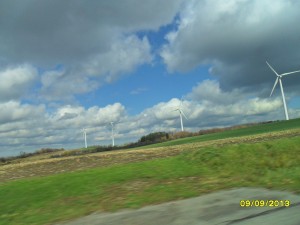 SAM_0081