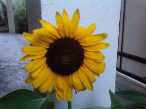 IMG_4577[1]