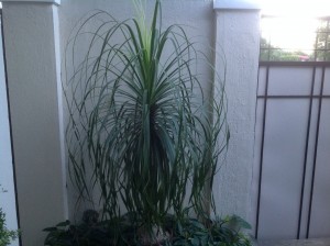 IMG_4578[1]
