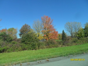 SAM_0048