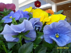sam_0562
